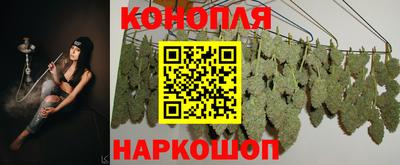 твердый Бийск