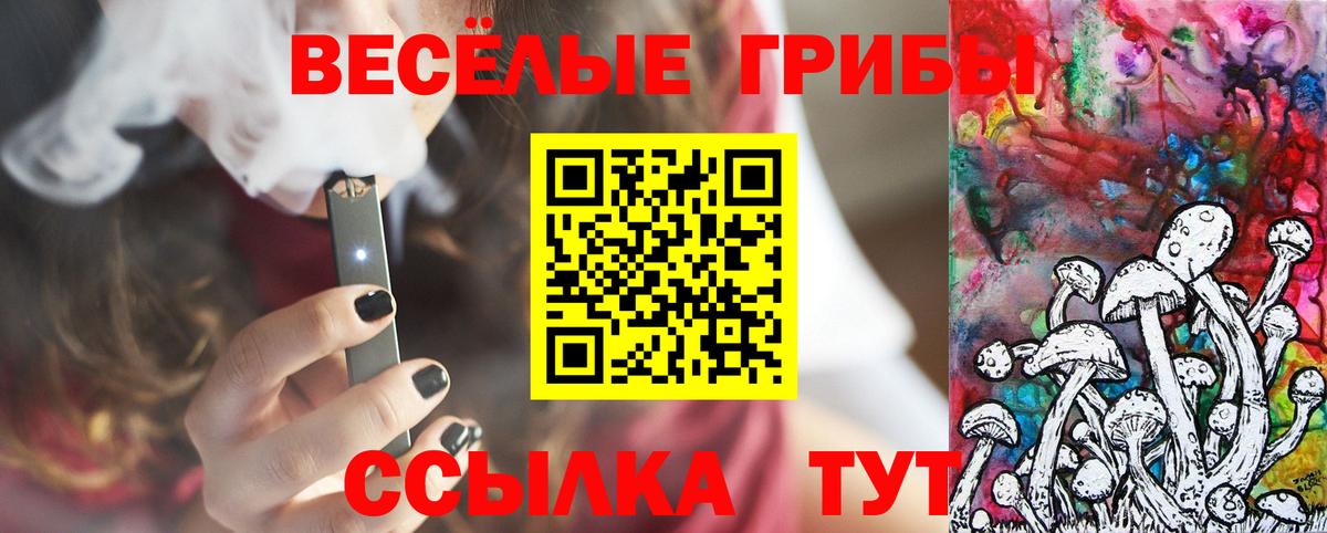 КОКАИН  Елизово  Купить наркотики цена  Вход с VPN  Меф МЯУ МЯУ кристаллы  ТГК  МАРИХУАНА  Alpha PVP СК кристаллы  NBOMe 