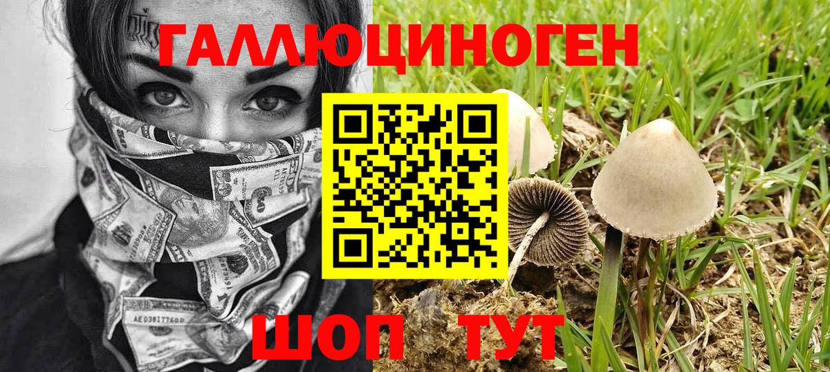 Псилоцибиновые грибы MAGIC MUSHROOMS Елизово