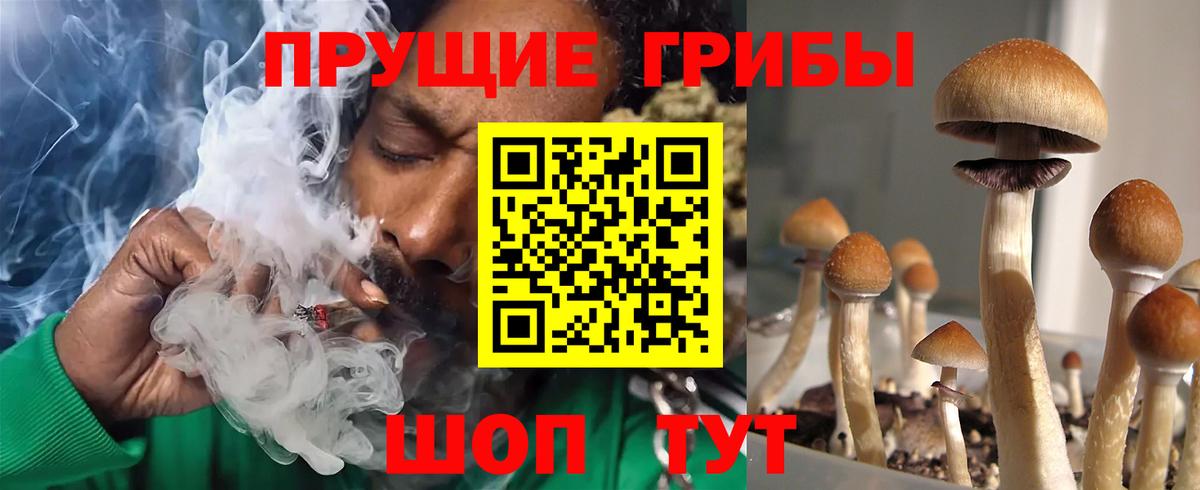 сколько стоит  Вход с VPN  Елизово  Галлюциногенные грибы MAGIC MUSHROOMS 